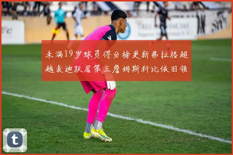 未满19岁球员得分榜更新弗拉格超越麦迪跃居第三詹姆斯科比依旧领跑
