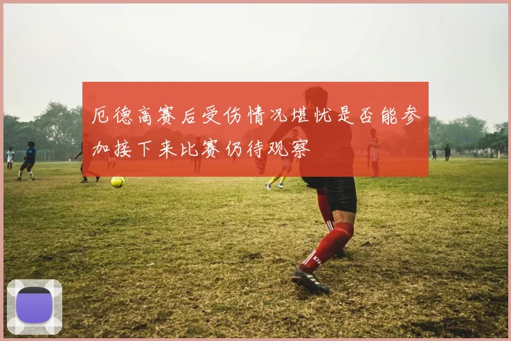 厄德高赛后受伤情况堪忧是否能参加接下来比赛仍待观察